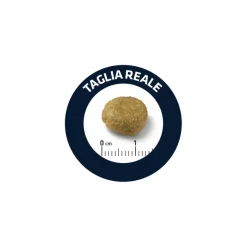 Advance Veterinary Diets Atopic Medium-Maxi Crocchette Per Cani Taglia Media/Maxi Sacco 12kg