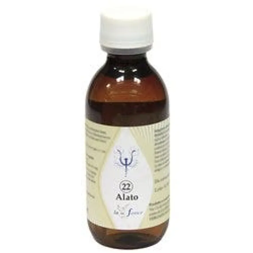 ALATO 22 NOCC AVOCADO 125ML