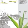 ALOCISTO GOCCE 100ML