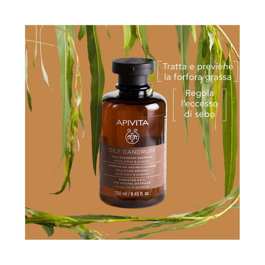 Apivita Shampoo Forfora Grassa Per Capelli 250ml