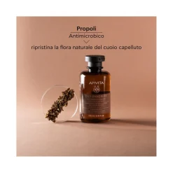 Apivita Shampoo Forfora Grassa Per Capelli 250ml