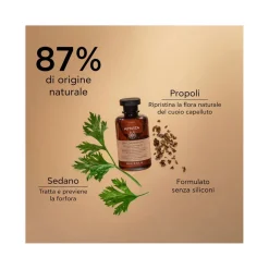 Apivita Shampoo Forfora Secca Per Capelli 250ml