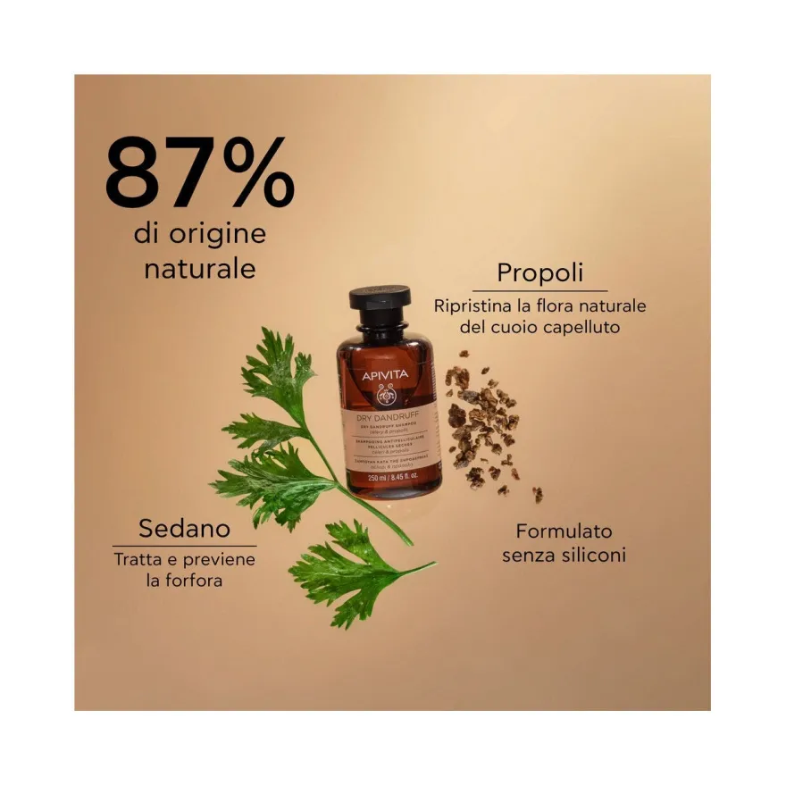 Apivita Shampoo Forfora Secca Per Capelli 250ml