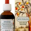 Arcangea Sinunogem Bio Soluzione Idroalcolica 50ml