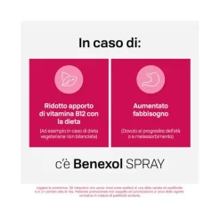 Benexol Spray Integratore alimentare di Vitamina B12 ad Alto Dosaggio con Edulcorante Flacone da 15ml