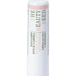 Bioearth Balsamo Stick Labbra Aloe E Acido Ialuronico 1 Pezzo
