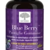 Blue Berry 60 Pastiglie Gommose
