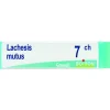 Boiron Lachesis Mutus Globuli 07Ch Dose 1g