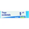 Boiron Thuya Occidentalis Globuli 09Ch Dose 1g