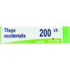 Boiron Thuya Occidentalis Globuli 200Ch Dose 1g