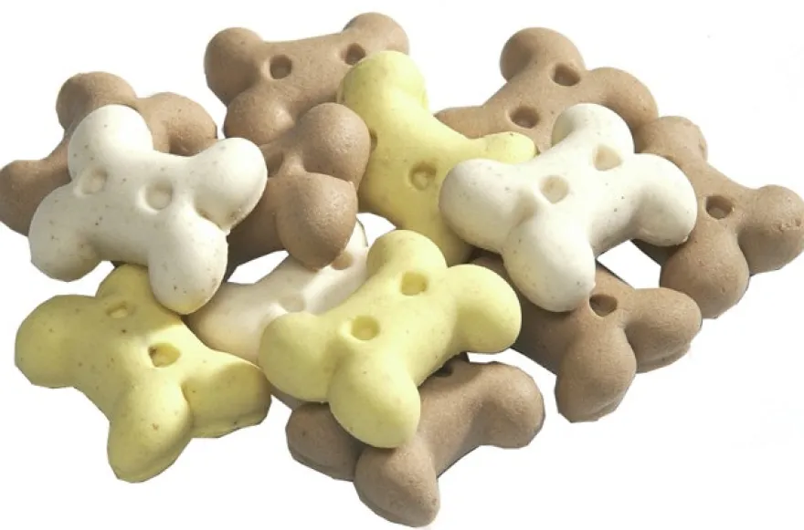 Camon Biscotti “Mini Bones” Per Cani 300g