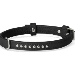 Camon Collare Con Borchiette Nero 15x450mm