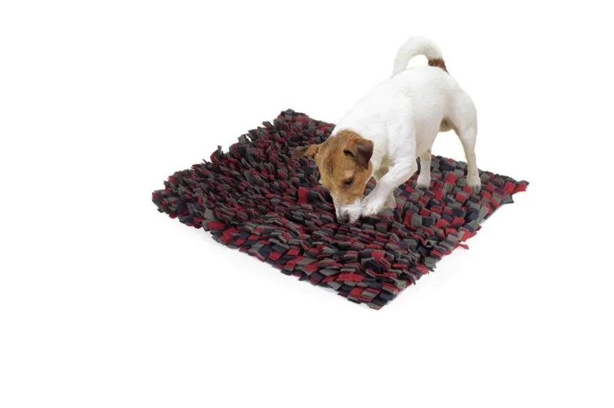 Camon Gioco Per Cani E Gatti Tappetino Genius 50x60cm