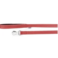 Camon Guinzaglio Con Maniglia In Neoprene E Cuciture Reflex Rosso 2,5x120cm