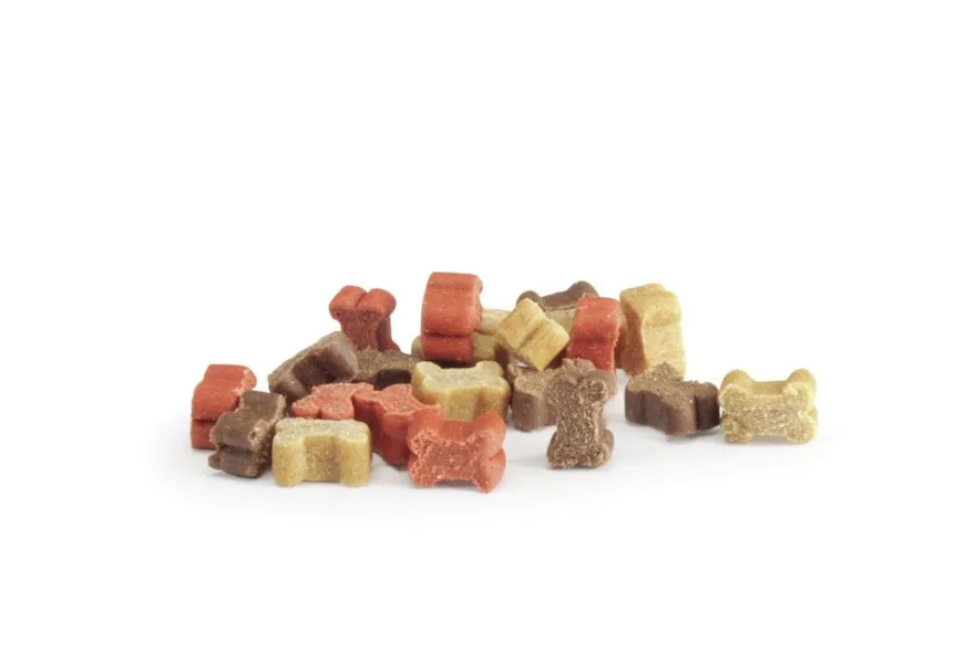 Camon Snack Box Mini Bones Mix Snack Per Cani 140g