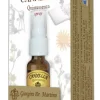 CANNELLA QUINTESSENZA SPRAY