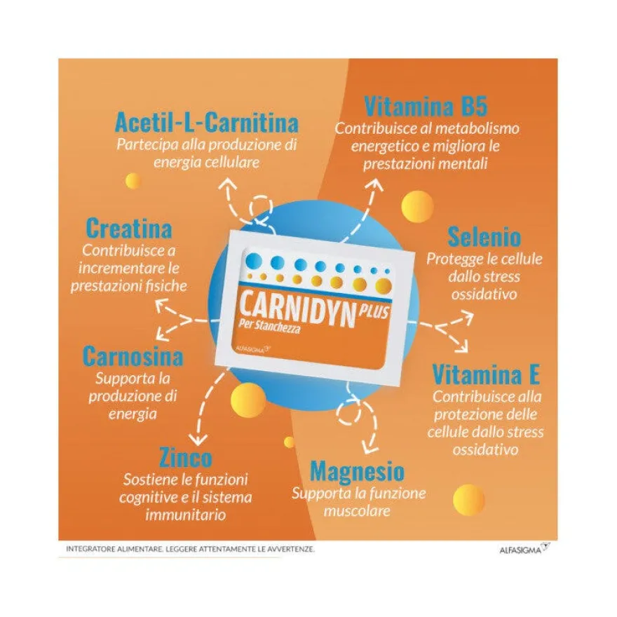 Carnidyn Plus 20 Buste