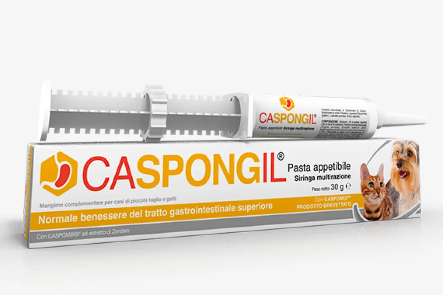 Caspongil Pasta Gastrointestinale Cane E Gatto 30g