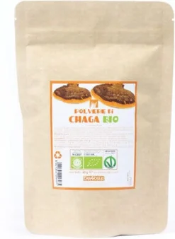 CHAGA POLVERE BIO 60G