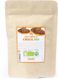 CHAGA POLVERE BIO 60G