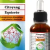 CITOYANG EQUISETO GOCCE 50ML