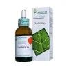 Clorofilla Soluzione Idroalcolica 50ml