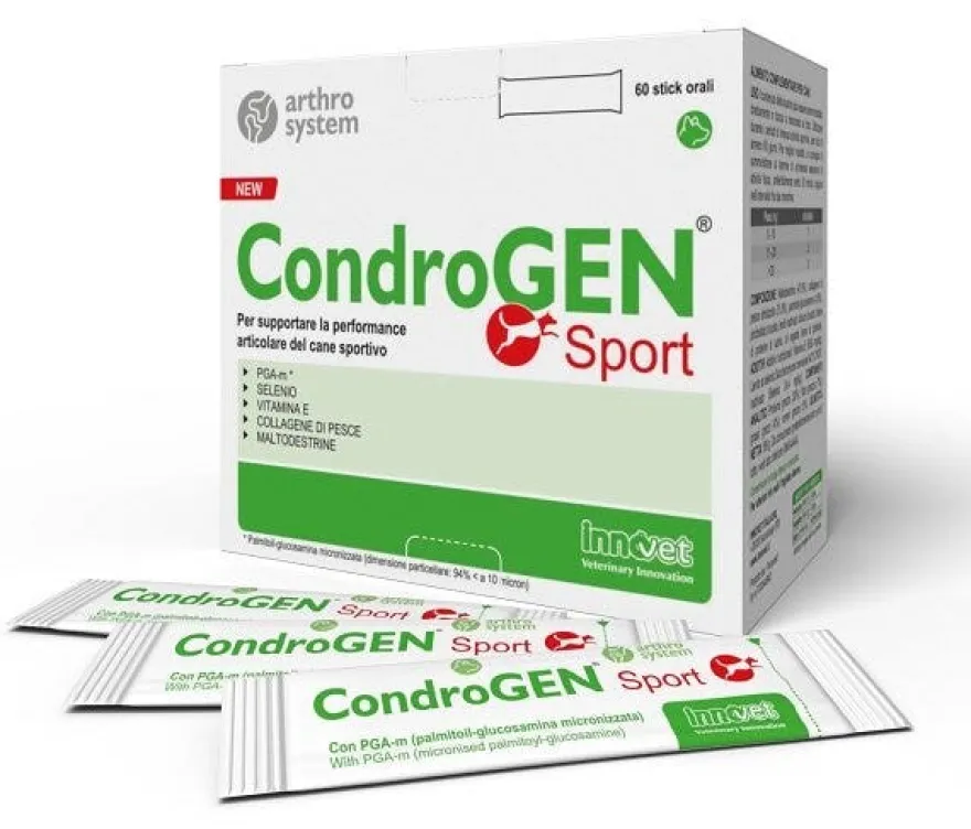 Condrogen Sport 60 Stick