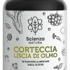 CORTECCIA LISCIA DI OLMO 60CPS