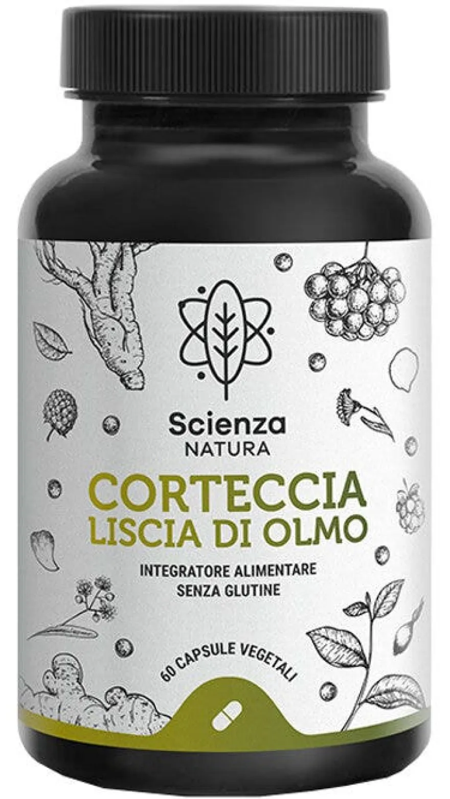 CORTECCIA LISCIA DI OLMO 60CPS