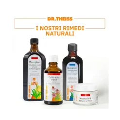 Dr Theiss Piantaggine Soluzione Orale 250ml