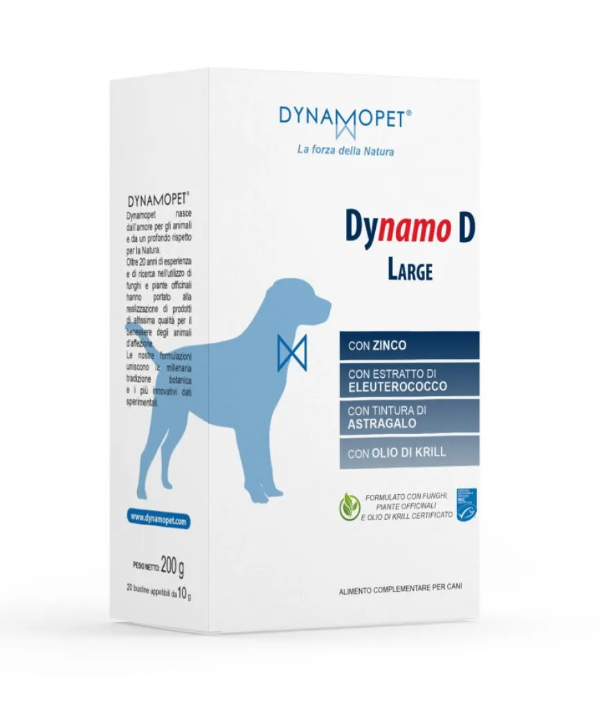 Dynamo D Large 20 Bustine Da 10g