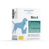 Dynamopet Digea S 10 Bustine 4g