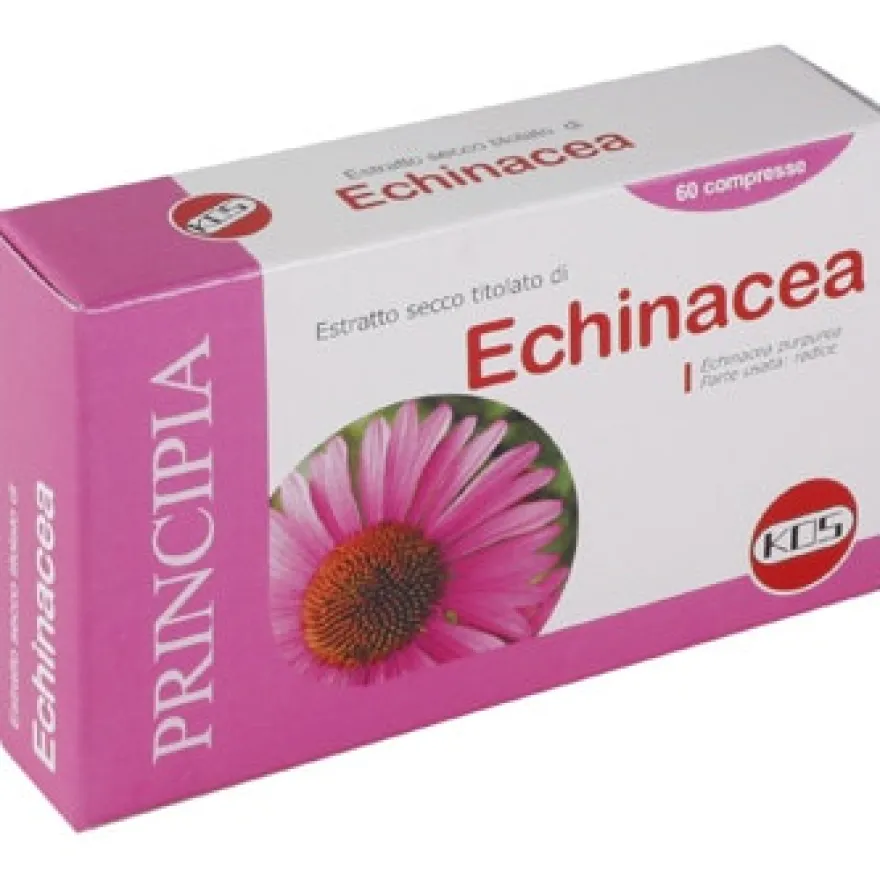 Echinacea Estratto Secco 60 Compresse