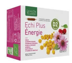 ECHI PLUS ENERGIE 10AMPOLLE