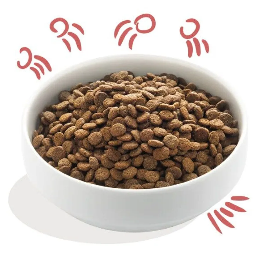 Edgard & Cooper Senior Pollo Allevato A Terra E Salmone Norvegese Senza Cereali Crocchette per Cani 2,5kg