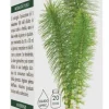 EQUISETO ESTRATTO INTEGR 200ML