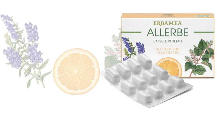 Erbamea Allerbe 24 Capsule