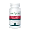 Erba Vita Lievito Di Birra 60 Capsule