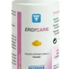 Ergycare 60 Capsule