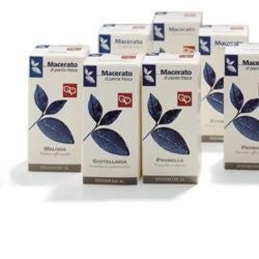 ERNIARIA 100ML TM