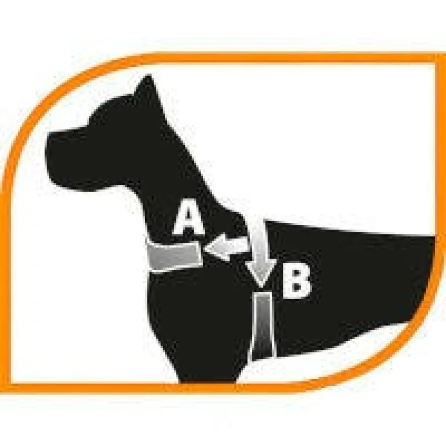 Ferplast Daytona P Pettorina In Nylon Soffice Imbottitura Taglia Media Per Cani