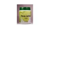 FICUS CARICA 60CPS