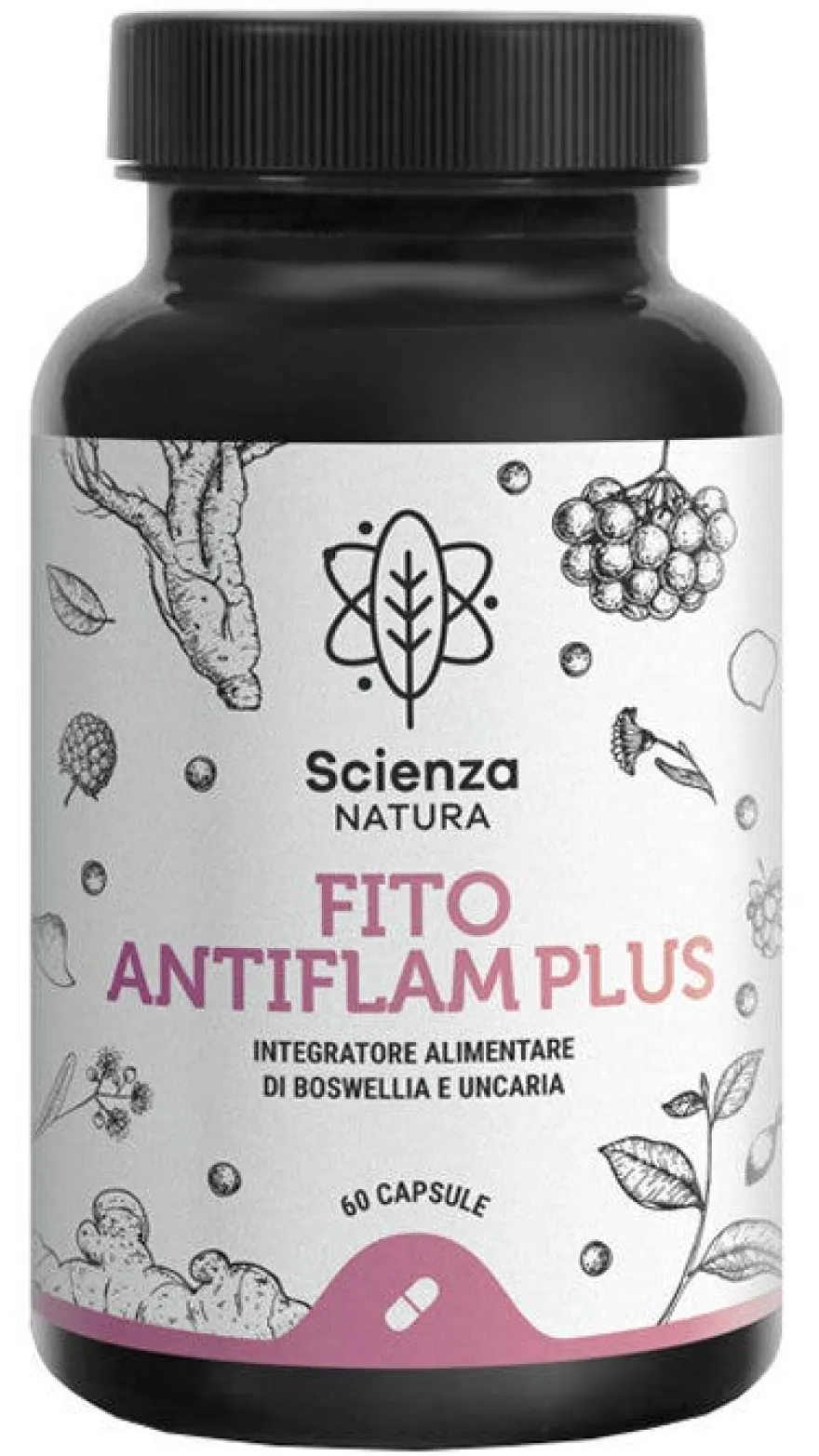 FITO ANTIFLAM PLUS 60CPS