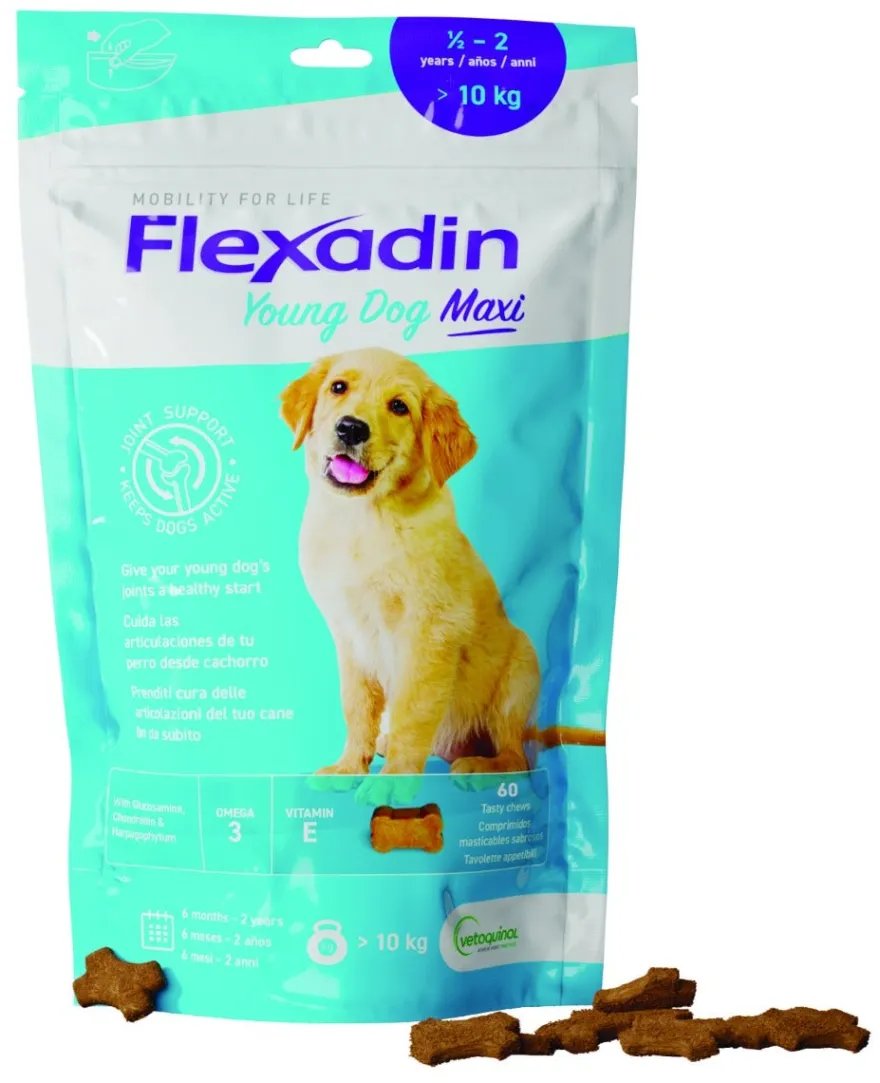 Flexadin Young Mangime Complementare Articolazioni Cani Giovani Taglia Grande 60 Tavolette