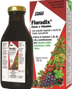 Floradix 250ml