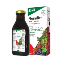 Floradix 250ml