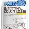 Forza 10 Active Intestinal Colon Fase i Dogall Adult Agnello Sorgo 10 kg