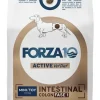 Forza10 Active Vet Diet Intestinal Colon Fase 1 Crocchette Pesce Per Cani Adulti 1,5kg