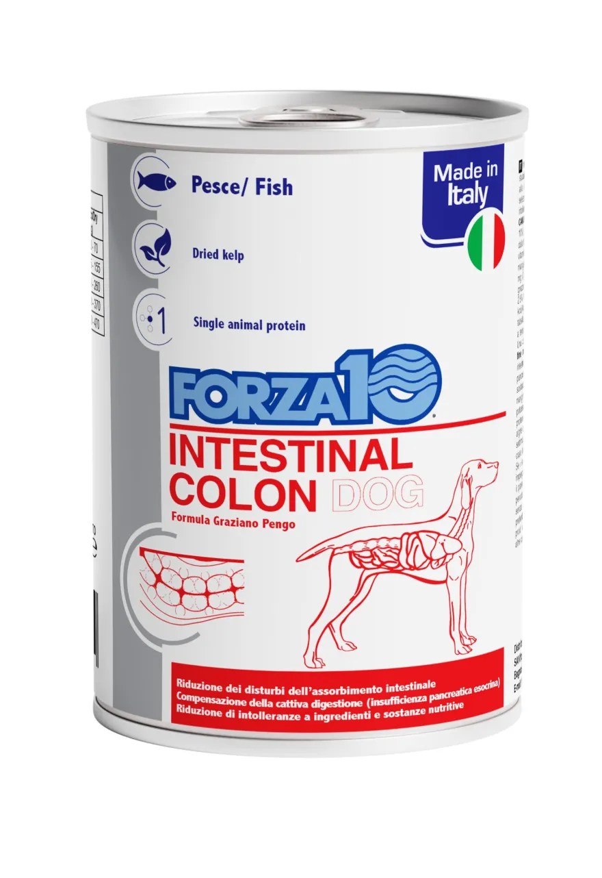 Forza10 Actiwet Intestinal Colon Cibo Umido Cani Adulti Barattolo 390g