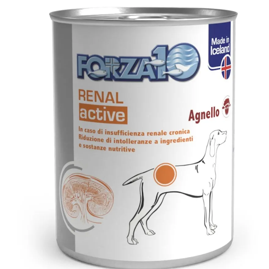 Forza10 Actiwet Renal Cibo Umido Cani Adulti Barattolo 390g